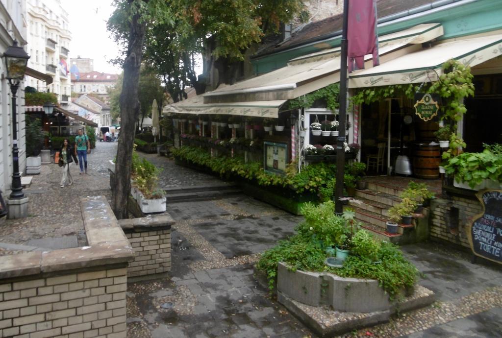 Apartment Nedic Beograd Bagian luar foto